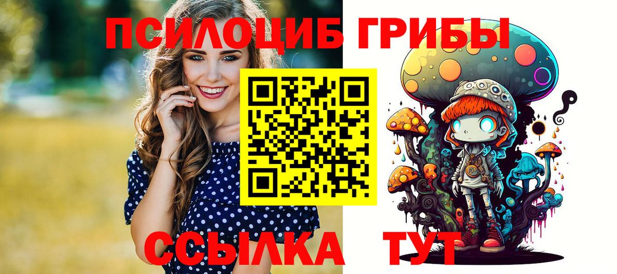 Псилоцибиновые грибы Cubensis Дмитров