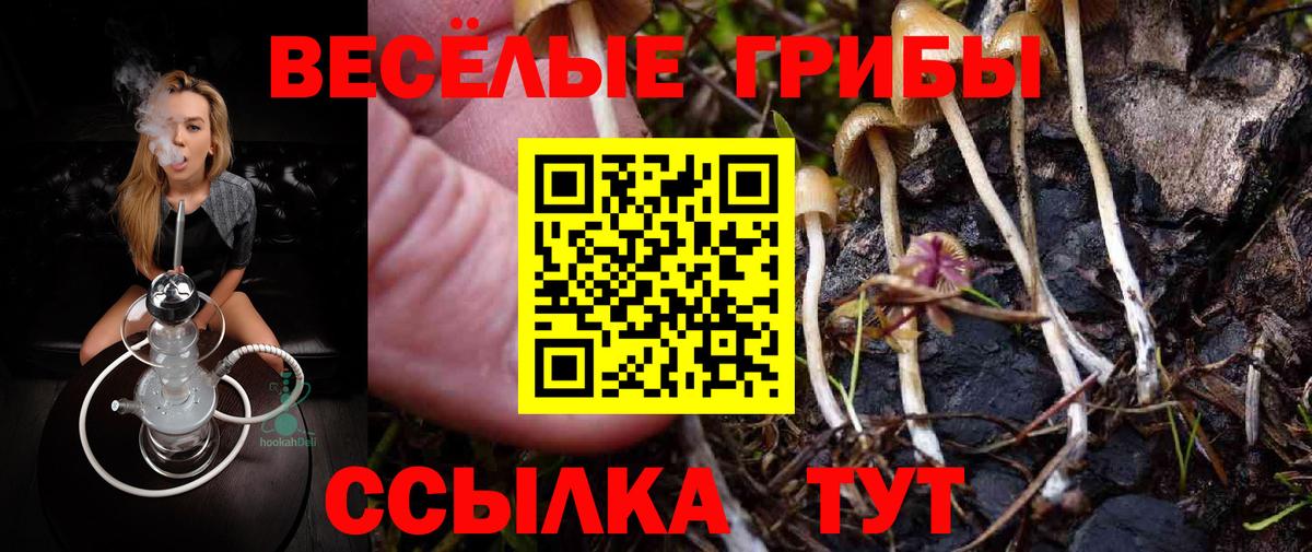 Дмитров  Псилоцибиновые грибы Psilocybe  Вход с VPN  Псилоцибиновые грибы Psilocybine cubensis 